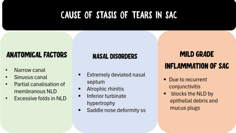 schematic table depicting the causes of the stasis of tears