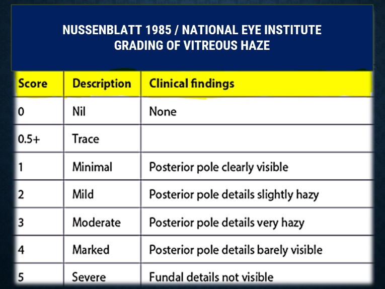 table depicting grading of vitreous haze given by national eye institute