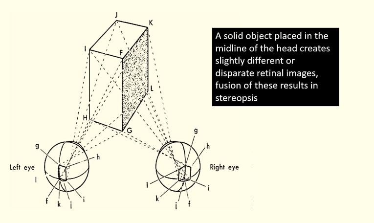 binocular disparity
