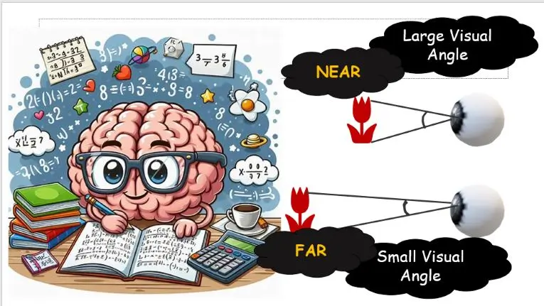 objects At fat project smaller visual angle than object near