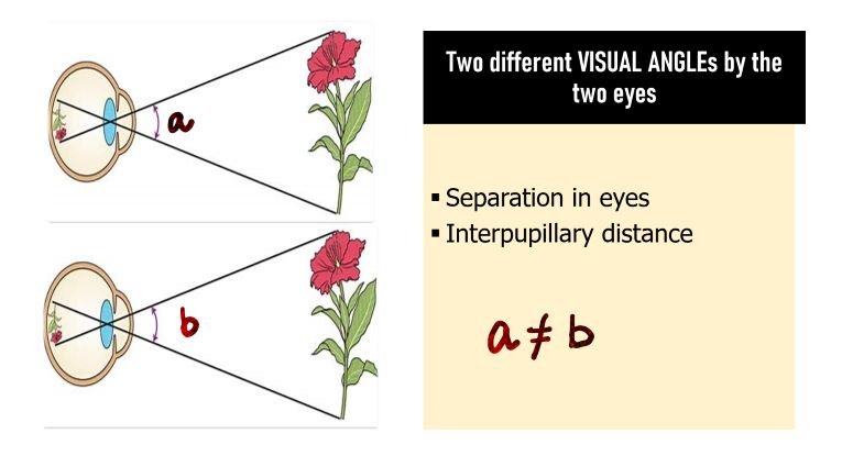 visual angles